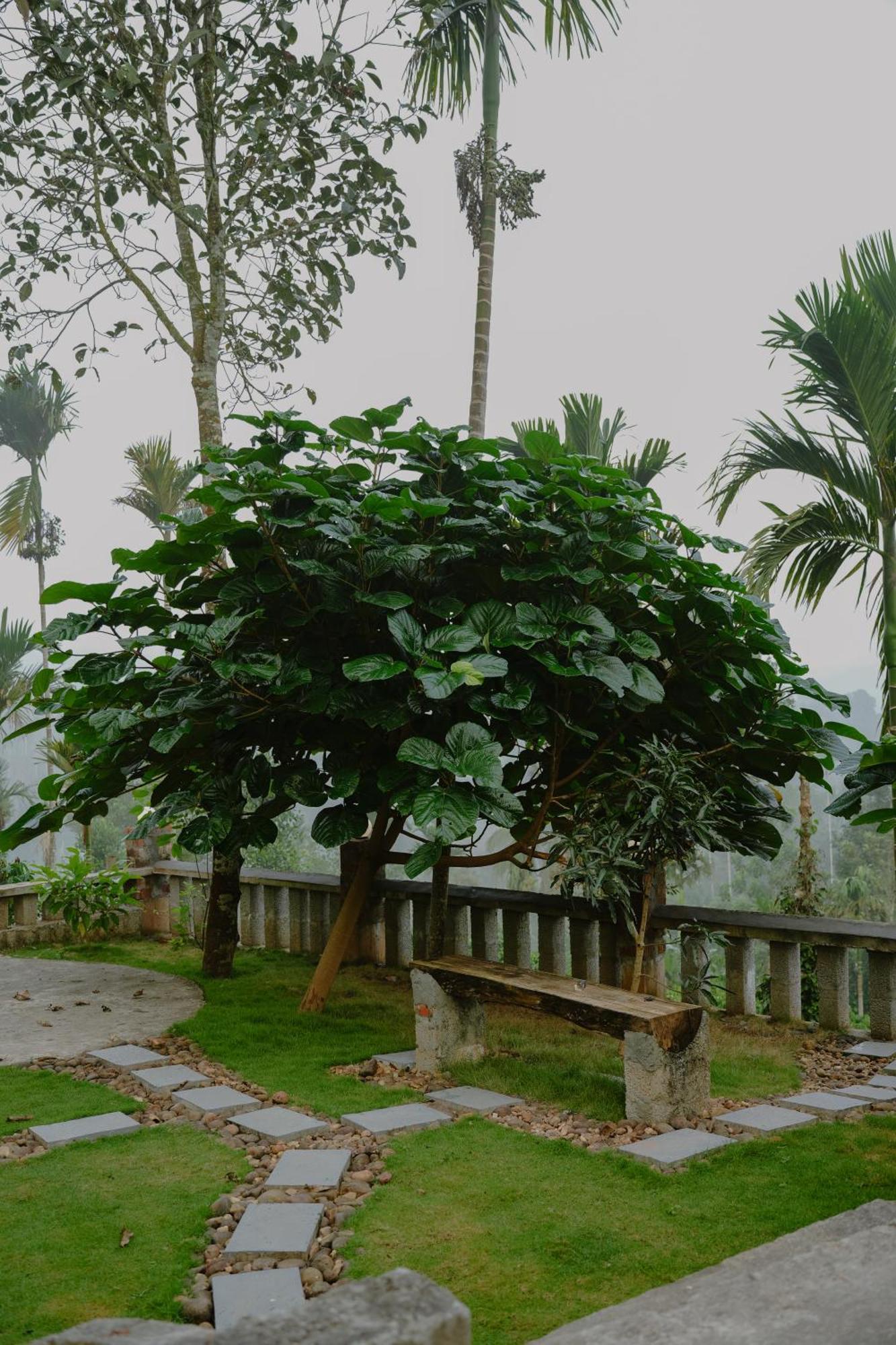 Haze Woods Resort Vaduvanchal Buitenkant foto
